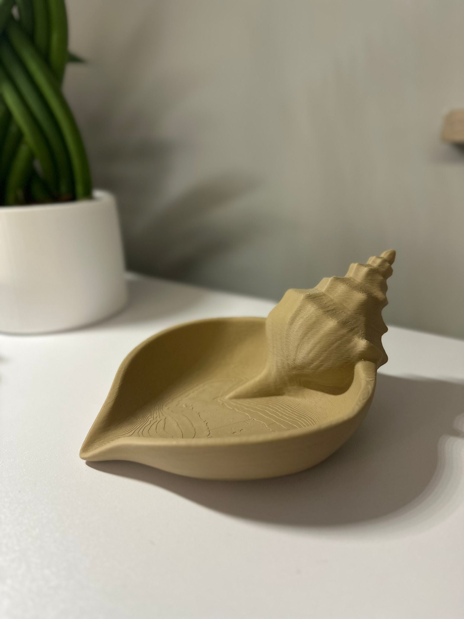 Conchiglia Svuota Tasche