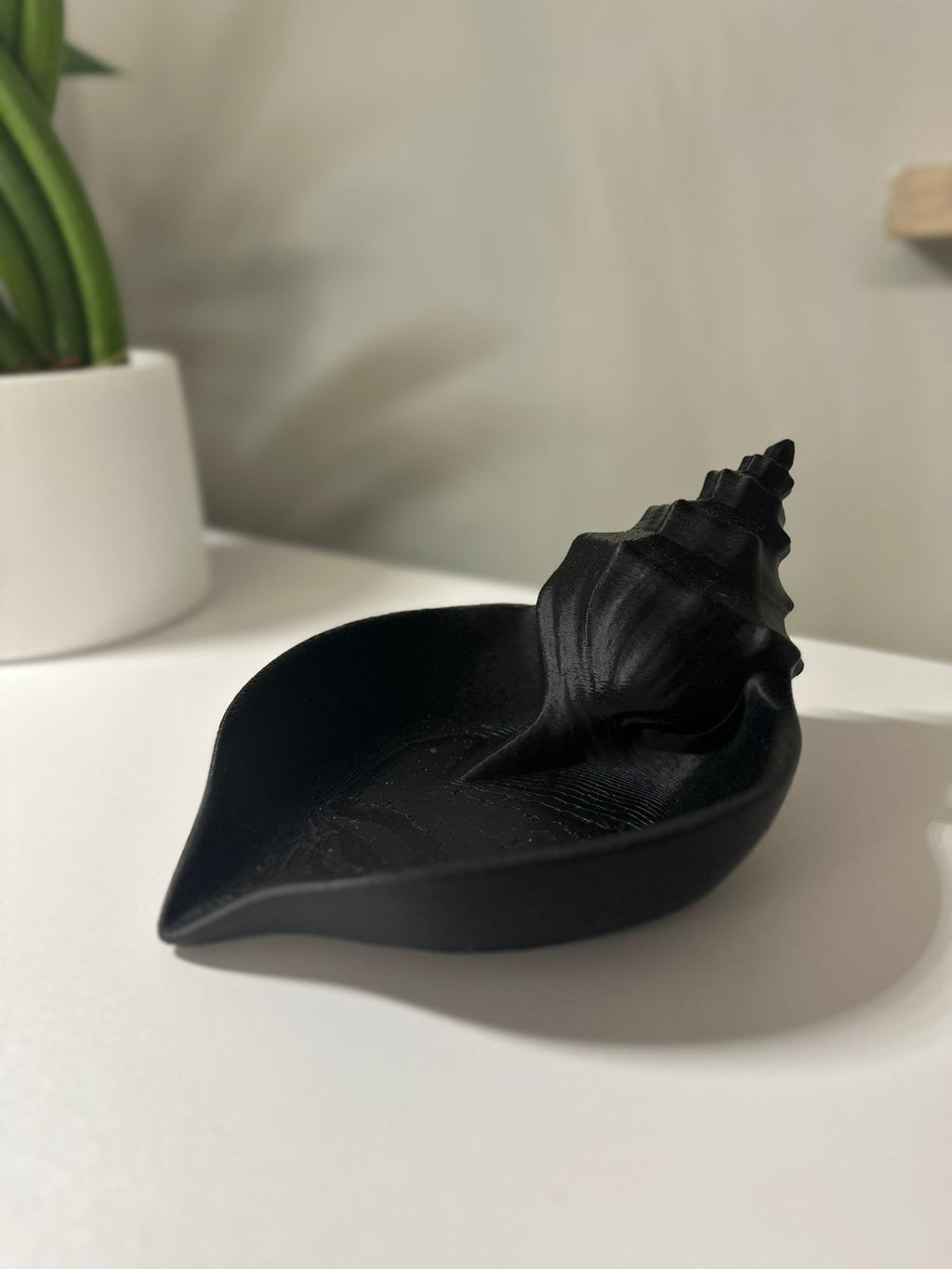 Conchiglia Svuota Tasche